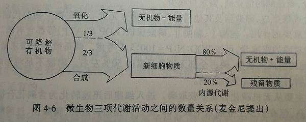 微生物代谢活动数量图
