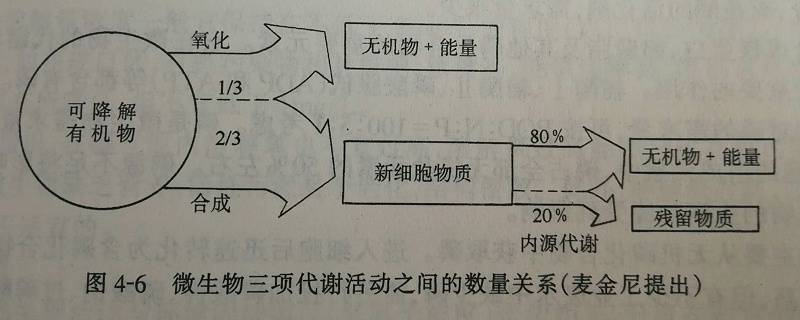 微生物代谢活动数量图